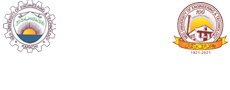 NED Logo